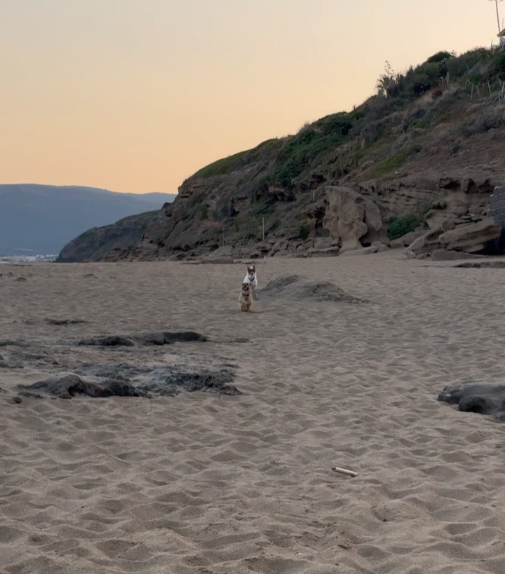 Elisabetta Canalis Alghero, Stintino, Porto Alabe guidando attraverso una delle strade più belle ch...