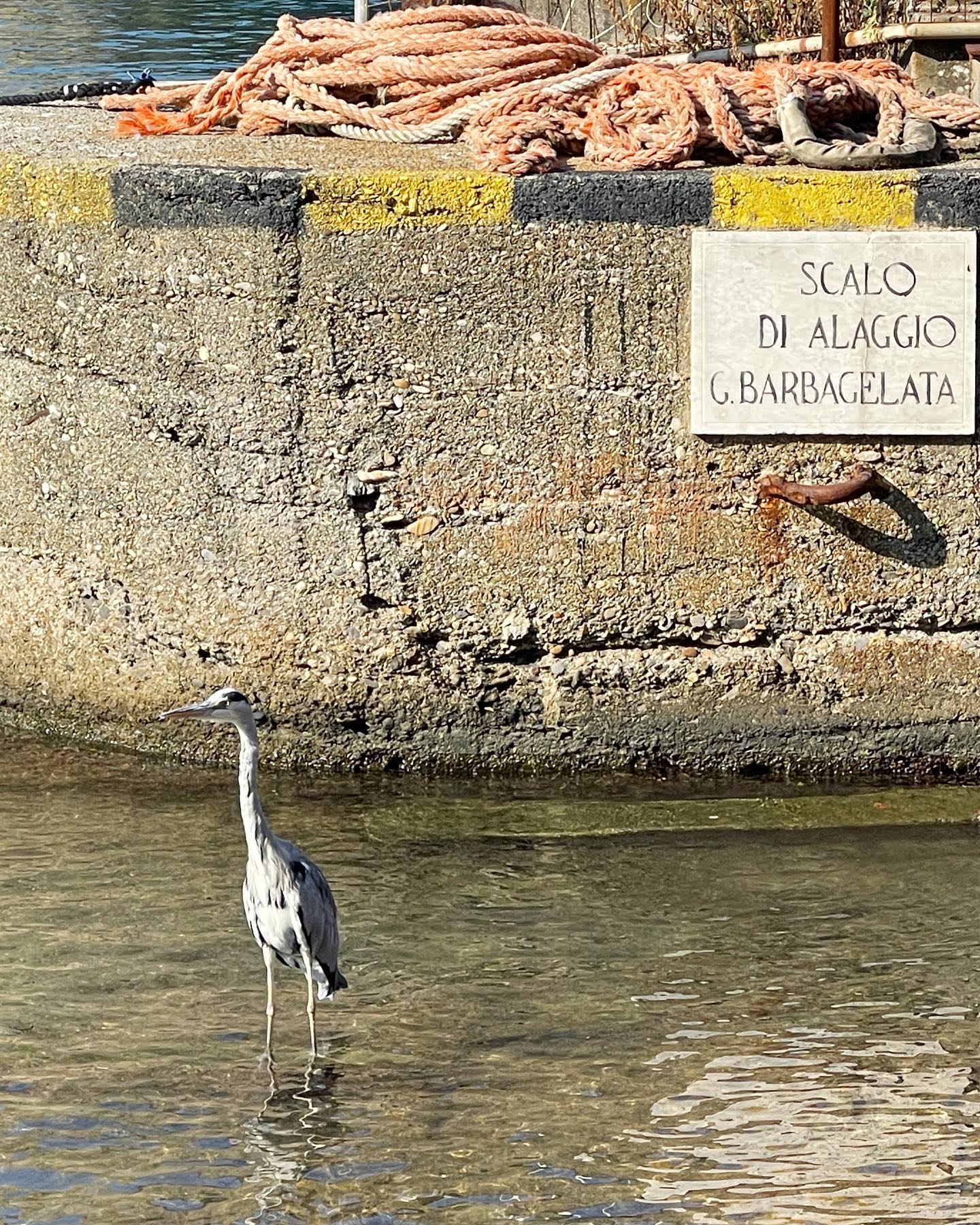 Selvaggia Lucarelli È stato bello, Camogli....