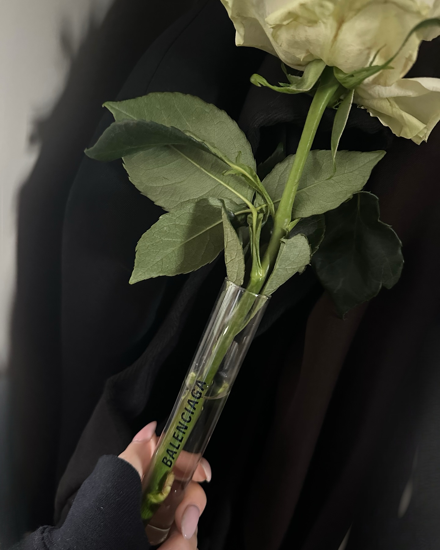 Rose Villan andiamo a un funerale mica ad una sfilata...