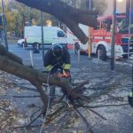 A Milano un albero cade sul marciapiede a causa del vento, nessun ferito